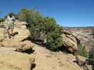 Papa am Massacre Cave Overlook im Canyon de Chelly National Monument (27. Mai)