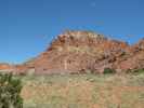 neben der US 84 beim Abiquiu Reservoir (28. Mai)