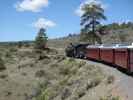 No. 489 mit San Juan Express #216 der Cumbres & Toltec Scenic Narrow-Gauge Railroad zwischen Whiplash Curve und Big Horn (29. Mai)