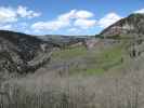 neben der Cumbres & Toltec Scenic Narrow-Gauge Railroad zwischen Garfield Monument und Osier (29. Mai)