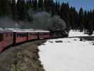 No. 489 mit San Juan Express #216 der Cumbres & Toltec Scenic Narrow-Gauge Railroad in der Tanglefoot Curve (29. Mai)