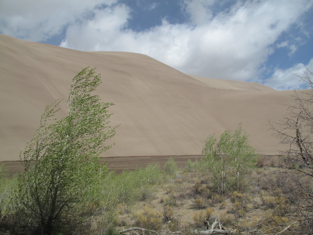Dunefield von der Castle Creek Picnic area aus (30. Mai)