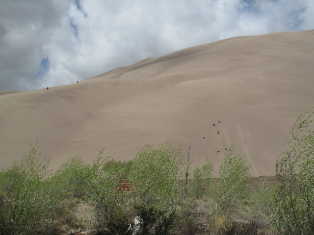 Dunefield von der Castle Creek Picnic area im Great Sand Dunes National Park aus (30. Mai)
