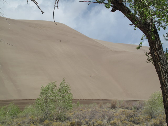 Dunefield von der Castle Creek Picnic area im Great Sand Dunes National Park aus (30. Mai)