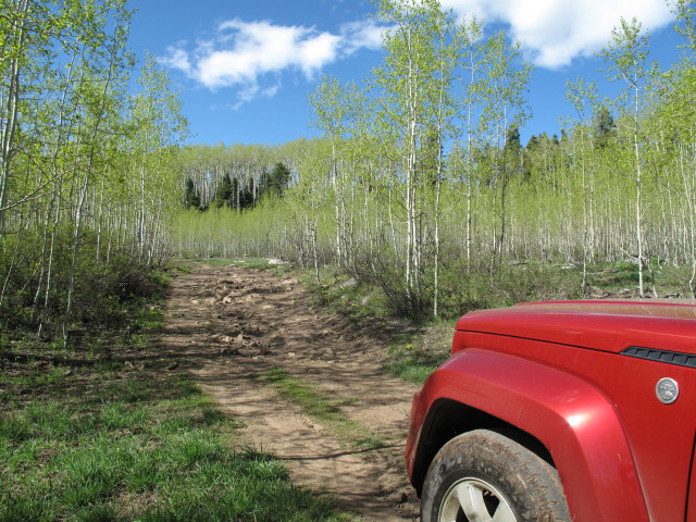 First Notch Jeeptrail (30. Mai)