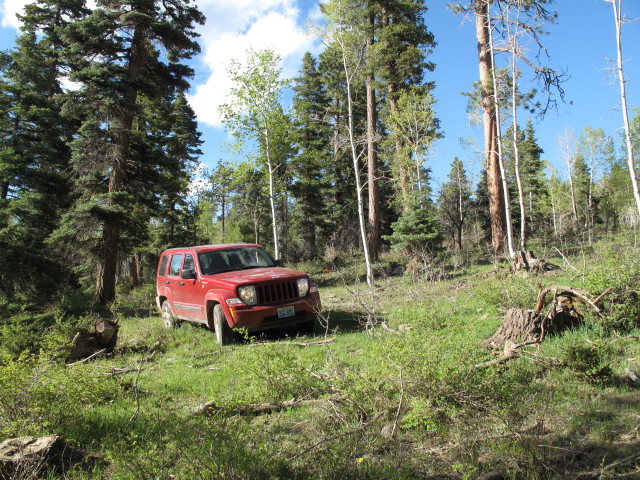 neben dem First Notch Jeeptrail (30. Mai)