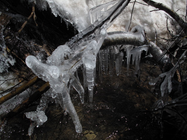 neben dem Columbus Mine Jeeptrail zwischen Abzweigung Kennebec Pass Jeeptrail und Gold King Mill (31. Mai)