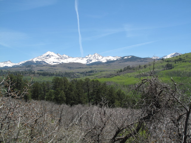 La Plata Mountains vom Jersey Jim Lookout Jeeptrail aus (31. Mai)