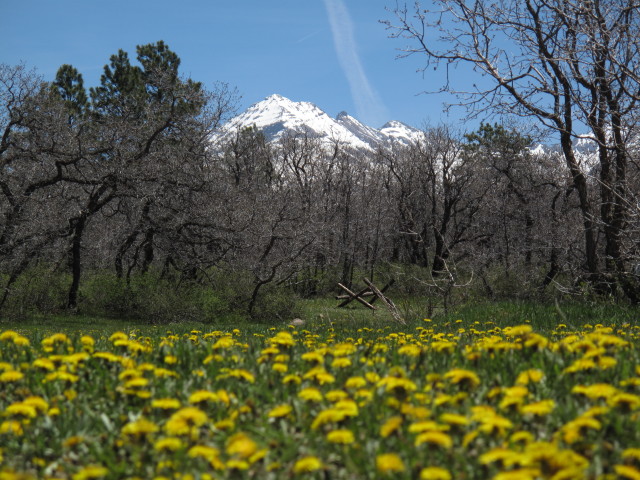 La Plata Mountains vom Jersey Jim Lookout Jeeptrail aus (31. Mai)