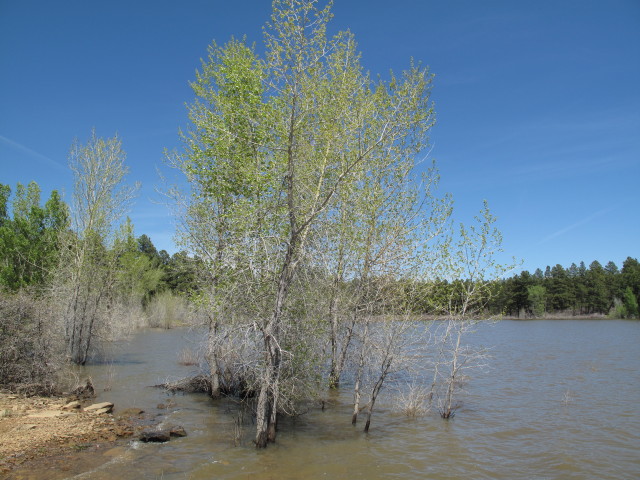 Summit Lake (31. Mai)