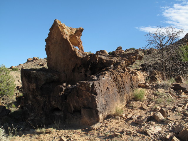 neben dem Escalante Rim Jeeptrail zwischen Kelso Gulch und Dry Mesa Jeeptrail (2. Juni)