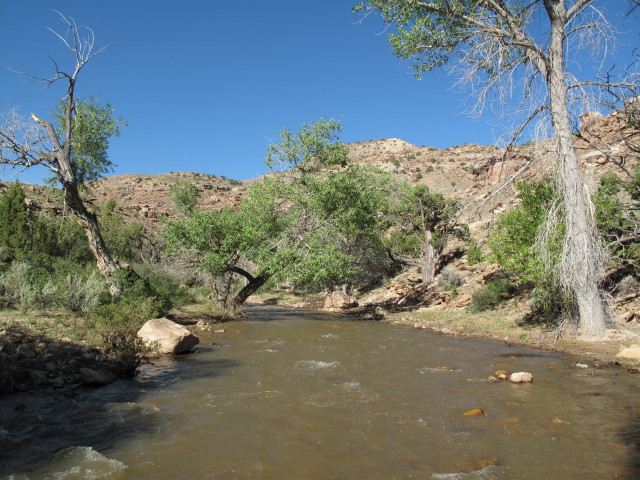 Dry Fork Escalante Creek vom Dry Mesa Jeeptrail aus (2. Juni)