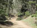 Medano Pass Jeeptrail zwischen Forest Road 412 und Medano Pass (30. Mai)