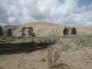 Dunefield vom Medano Pass Jeeptrails aus (30. Mai)