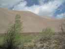 Dunefield von der Castle Creek Picnic area aus (30. Mai)