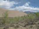 Dunefield von der Castle Creek Picnic area im Great Sand Dunes National Park aus (30. Mai)