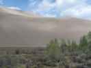 Dunefield von der Castle Creek Picnic area im Great Sand Dunes National Park aus (30. Mai)