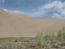 Dunefield von der Castle Creek Picnic area im Great Sand Dunes National Park aus (30. Mai)