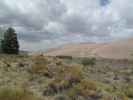 Dunefield vom Medano Pass Jeeptrail aus (30. Mai)