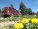 Jersey Jim Lookout Jeeptrail zwischen Mancos Reservoir und West Mancos Overlook (31. Mai)