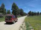 Jersey Jim Lookout Jeeptrail zwischen Mancos Reservoir und West Mancos Overlook (31. Mai)