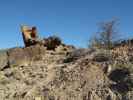 neben dem Escalante Rim Jeeptrail zwischen Kelso Gulch und Dry Mesa Jeeptrail (2. Juni)