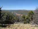 Escalante Canyon vom Dry Mesa Jeeptrail aus (2. Juni)