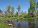 neben dem Dry Mesa Jeeptrail zwischen FR 504 und East Fork Escalante Creek (2. Juni)