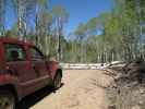 Dry Mesa Jeeptrail zwischen Escalante Canyon Jeeptrail und East Fork Escalante Creek (2. Juni)