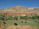 Escalante Canyon vom Escalante Canyon Jeeptrail aus (2. Juni)