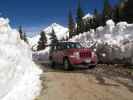 Yankee Boy Basin Jeeptrail zwischen Blue Lakes Trailhead und Sneffels (3. Juni)