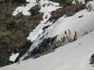 Twinfalls vom Yankee Boy Basin Jeeptrail aus (3. Juni)