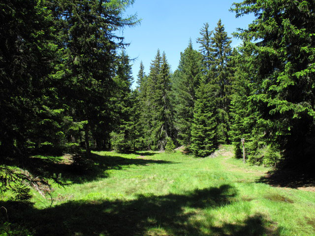 Alter Almweg zwischen Lasell und Weg 4