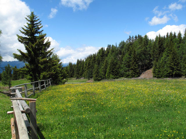 neben Weg 2 zwischen Ronerhütte und Pianer Kreuz