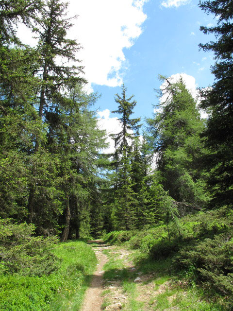 Weg 68B zwischen Weg 2 und Rastnerh&uuml;tte
