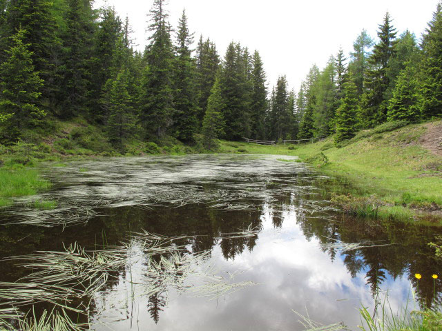 neben Weg 68B zwischen Weg 2 und Rastnerh&uuml;tte