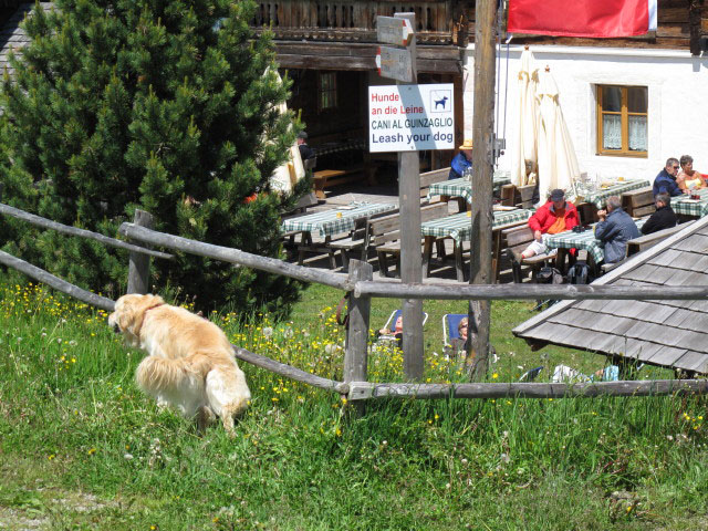 Rastnerh&uuml;tte, 1.931 m