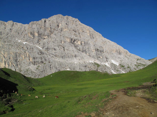 Weg 4 zwischen Weg 8 und Mahlknechtjoch (27. Juni)