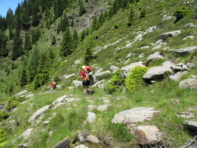 Christoph und Gudrun auf Weg 2 zwischen Hühnerspielalm und Fartleisalm (3. Juli)