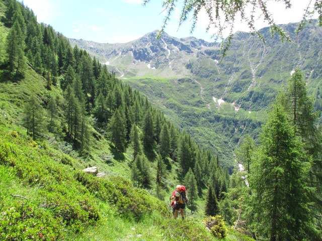 Christoph und Gudrun auf Weg 2 zwischen Hühnerspielalm und Fartleisalm (3. Juli)