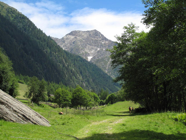 Weg 2 in Unter-Fartleis, 1.119 m (3. Juli)