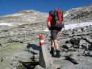 Norbert am Schwarzenburger Weg zwischen Rudolfstädter Weg und Lassacher Winkelscharte (10. Juli)