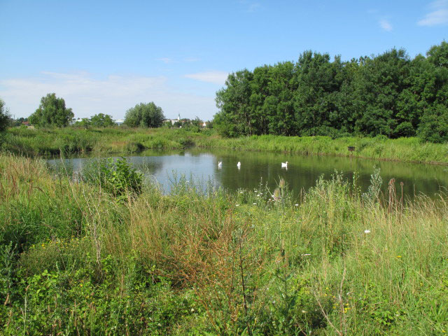 nördliche von Gänserndorf