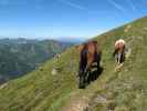 zwischen Hochfeld und Weg STW-A