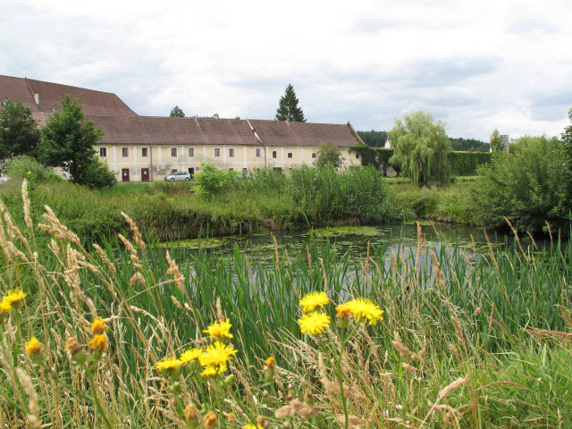 Teich beim Fischkalter