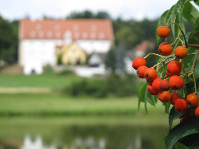 Gartenteich und Alter Sch&uuml;ttkasten