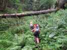 Christoph und Gudrun zwischen Roßalm und Bertahütte (30. Juli)