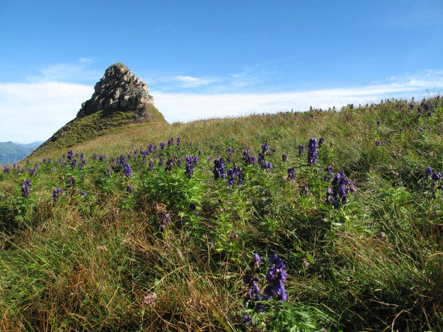 Mitterastenkopf (14. Aug.)