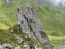 Familienklettersteig Hirschkarspitze: Sonja am Flying Fox (13. Aug.)