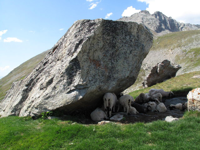 zwischen Wiwannih&uuml;tte und Griel&auml;ger